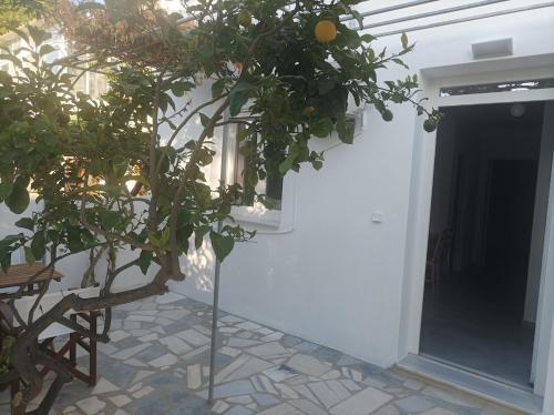 Lemon Tree 2, Parikia (foto 4)
