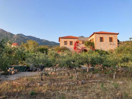 Bright Cozy Home with Terrace, Garden & Sea View in Neochori