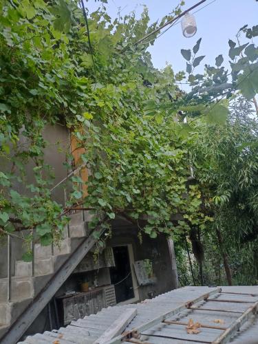 Квартира, Ganja (foto 8)
