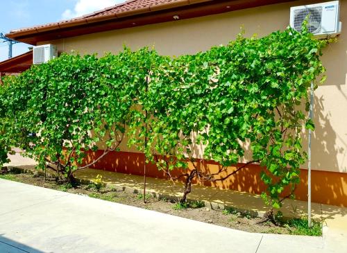 ทัศนียภาพภายนอกโรงแรม, Hajdu Nova Apartman in ฮอยดูนานาช
