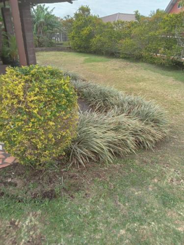 Monte Alto 2 in Palmira