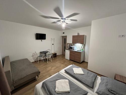 Hajdu Nova Apartman in ฮอยดูนานาช