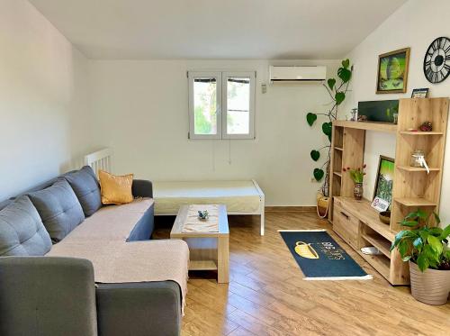Apartments Zeko - image 4