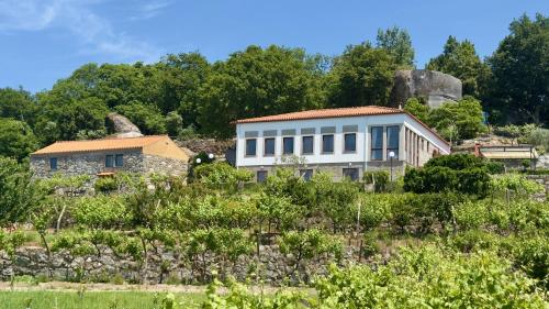 Quinta de CasalMato - Douro Valley 2