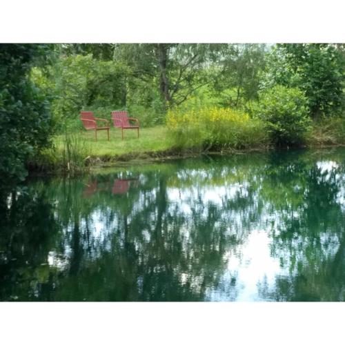 Cabin in the Treetops-Peaceful 1BR 20-Acre Rural Retreat-HotTub&WiFi near Asheville, Hendersonville (zdjęcie 8)