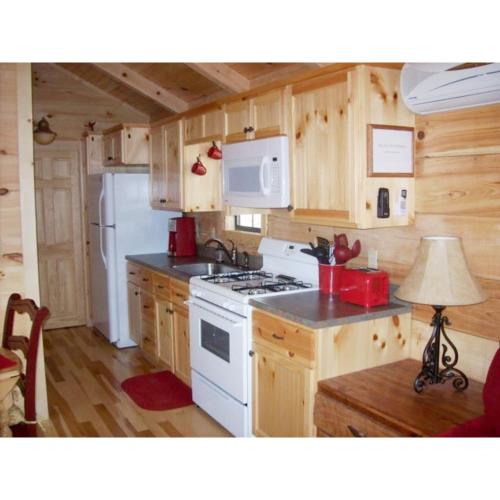Cabin in the Treetops-Peaceful 1BR 20-Acre Rural Retreat-HotTub&WiFi near Asheville, Hendersonville (zdjęcie 4)