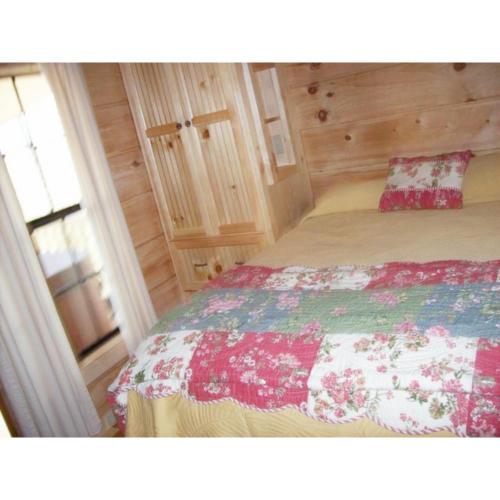 Cabin in the Treetops-Peaceful 1BR 20-Acre Rural Retreat-HotTub&WiFi near Asheville, Hendersonville (zdjęcie 6)