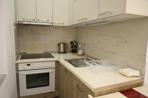 One-Bedroom Apartment image 8
