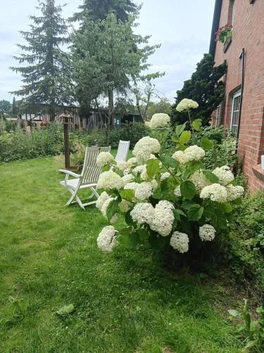 Sonnenscheinhof Alpakas, Ferienwohnung in Lasbek, Deutschland