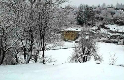 Skats, Villa Perule 2 Вила Перуле in Kirkovo