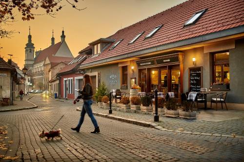 Pension&Restaurant Patriot Trnava - Accommodation