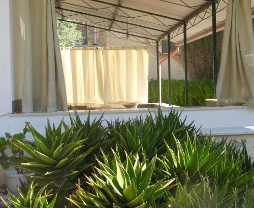 Da Sandra, Trabia (photo 10)
