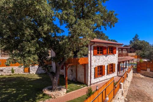 Villa the antiphellos in Çataloluk