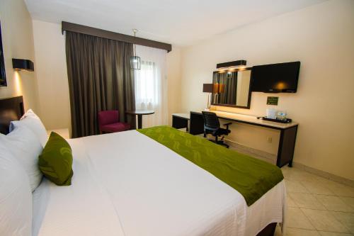 Eco City Hoteles