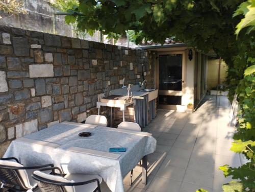 Olive ranch in Strunjan