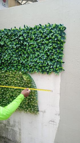 EcuaRent in La Aurora