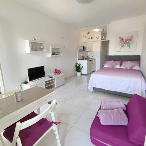 Cute studio-great location, Zadar