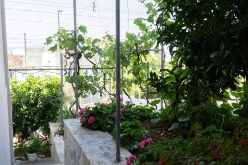 Apartment with Garden View image 5