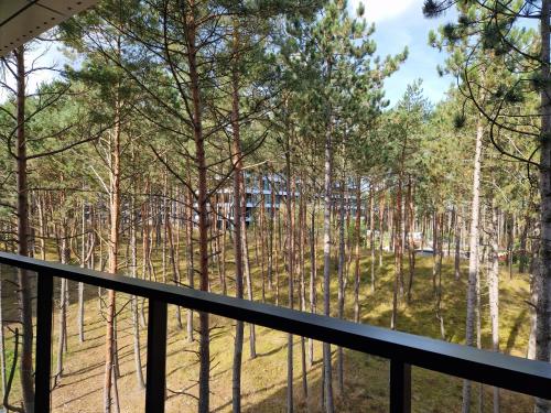 Apartament na Wydmach Shelter