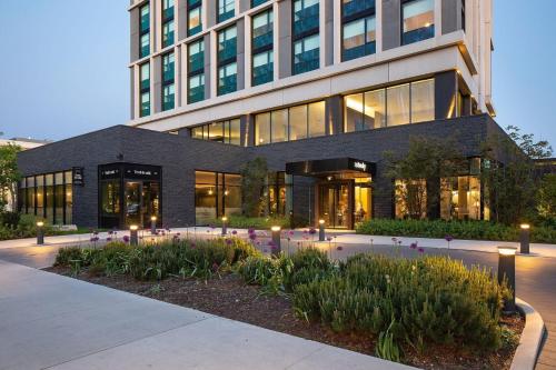The Study at the University of Chicago, Chicago