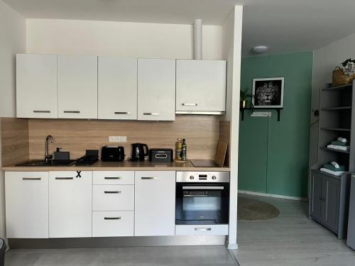 Apartmán Na Dukelské s garáží (Apartman Na Dukelske s garazi) in Tábor