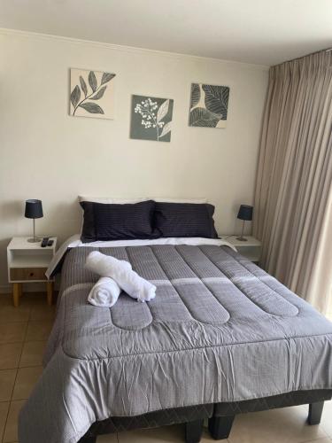 Home Lucerna