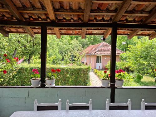 Vila Petrov in 積米特洛夫格勒