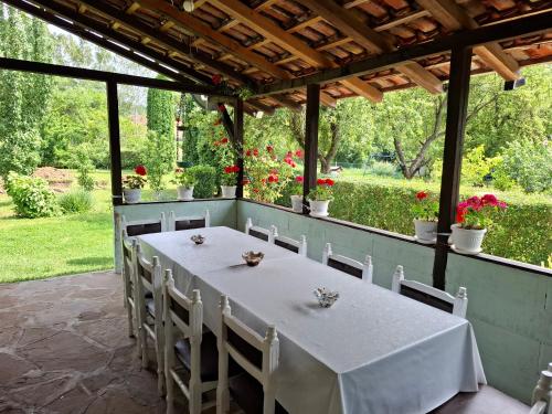 Vila Petrov in 積米特洛夫格勒