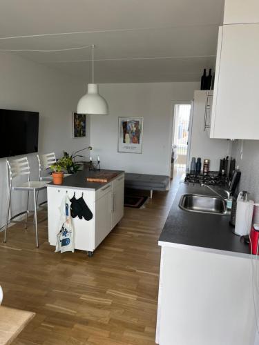 Amsterdam in Copenhagen, Kopenhagen (Foto 3)