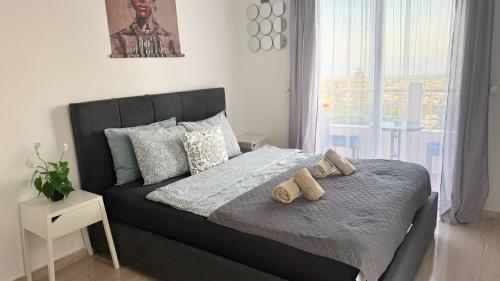 PMP Adamia Apartments