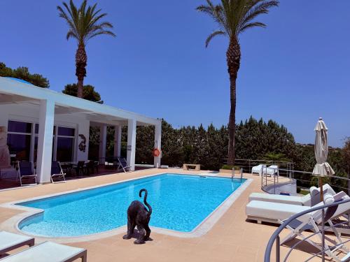 Grande Dame Villa - image 5