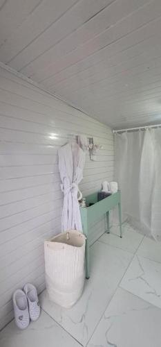 Badkamer, Tsaatan - Mother's Traditional Ger in Hatgal