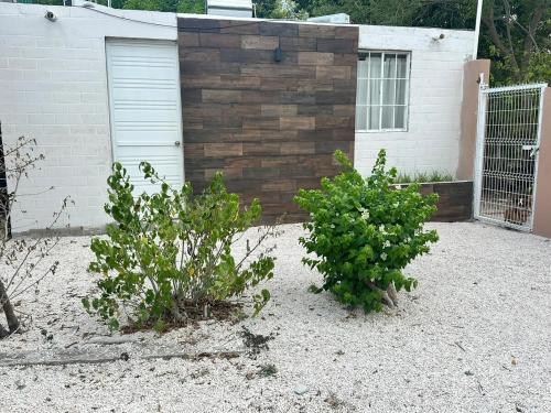 A szálláshely kívülről, Casa Tini in Escarcega