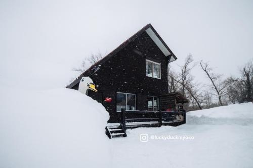 Lucky Duck Cabin Myoko