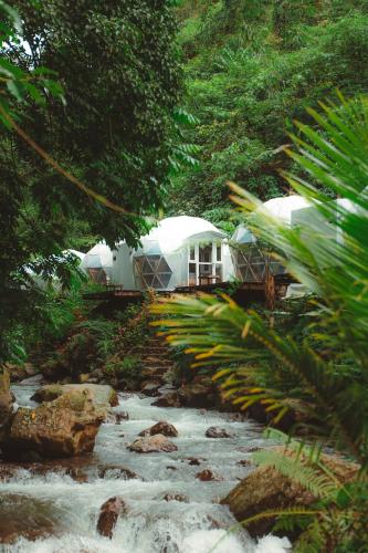 Glamping tent in Pelaga Eco Park