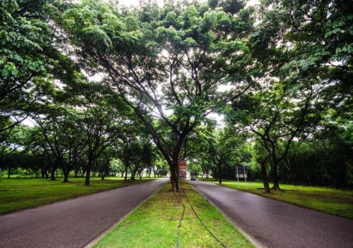 Beautiful natural surroundings