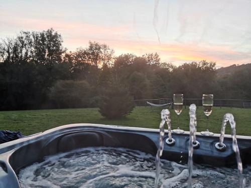 Beech Lodge - 3 Bedroom Chalet With Private Hot Tub in Tegryn
