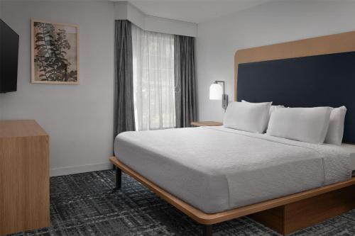 1 king bed, 1 sofa bed