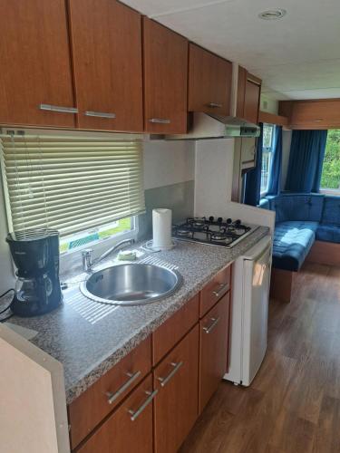 Ulinia Wilcza 4 niebieski in ซาร์บสค์