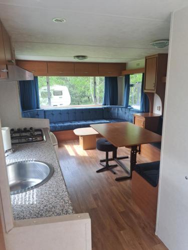 Ulinia Wilcza 4 niebieski in ซาร์บสค์