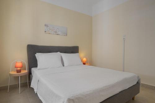 Grand Haven - New Renovated Spacious Apts in Prime Location, Athens (photo 9)