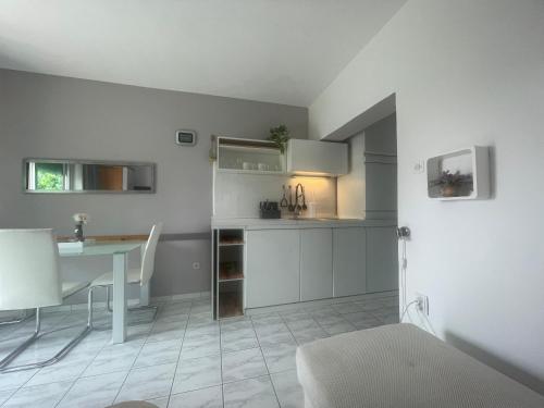 One-Bedroom Apartment image 3