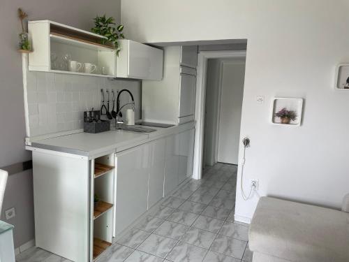 One-Bedroom Apartment image 2
