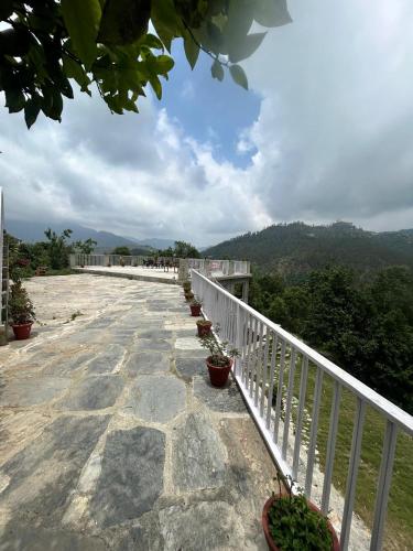 OIJA Farms in Ladfora Talla