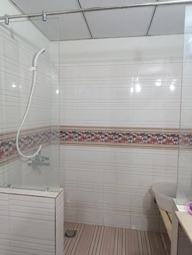 Hamdan's Guest House - image 4