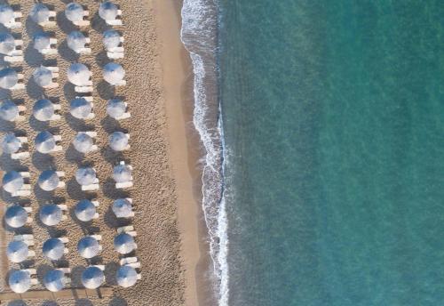 Neptuno Beach Hotel - image 4