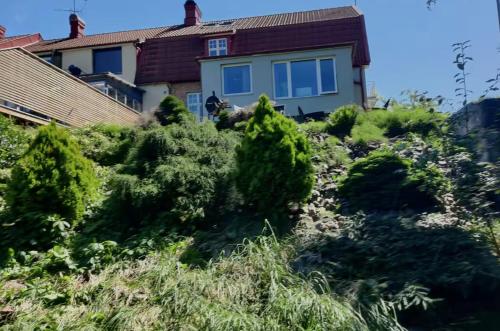 Båt huset (Bat huset) in Halmstad sentrum