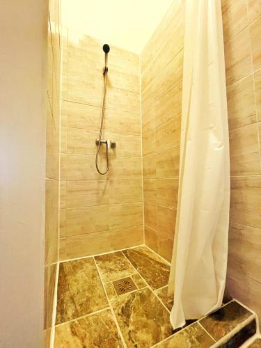 One-Bedroom Apartment image 10