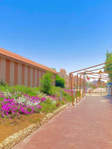 نزهه بيتش اكوا بارك راس سدر, Ras Sedr (fotografie 8)