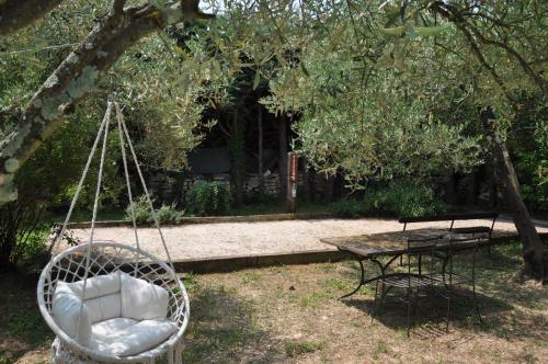 Dārzs, Terre d'Oliviers in Saint-Christol-de-Rodières